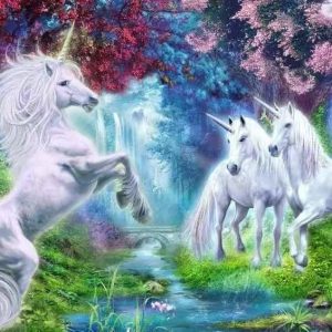 عکس نقاشی الماسی طرح بزرگسال 40در50 کد T38 - شماره 10