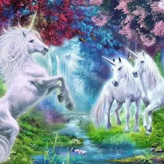 تصاویر نقاشی الماسی طرح بزرگسال 40در50 کد T38 نقاشی الماسی طرح بزرگسال 40در50 کد T38