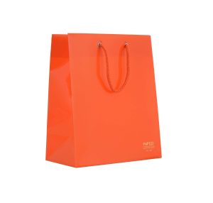 عکس بگ کادویی پاپکو PAPCO مدل طلقی سایز 22 در 19 در 10 کد 002 - شماره 10