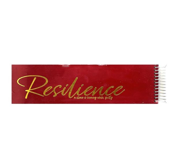 تصاویر دفتر طراحی 120 برگ جلد سخت رسیلینس Resilience مدل کلاسیک سایز 30 در 8 رنگ قرمز کد 316 دفتر طراحی 120 برگ جلد سخت رسیلینس Resilience مدل کلاسیک سایز 30 در 8 رنگ قرمز کد 316