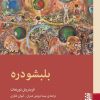 کتاب بلبشو دره اثر فریدریش دورنمات نشر برج